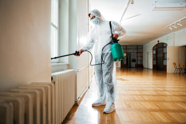 Professional Pest Control in Black Point Green Point, CA